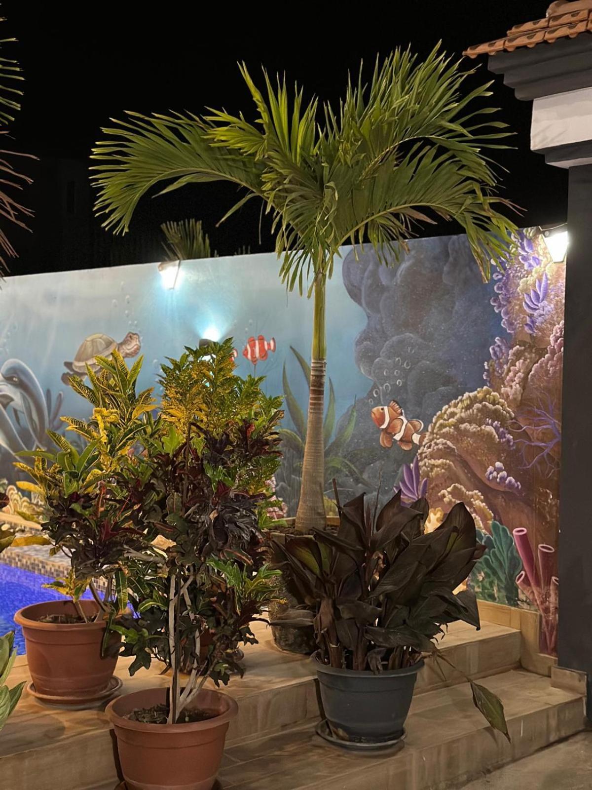 Villa Hawa, Decor Unique & Piscine Сомоне Екстер'єр фото